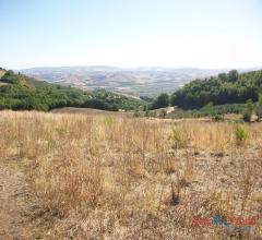 Case - Terreno agricolo, comoda posizione