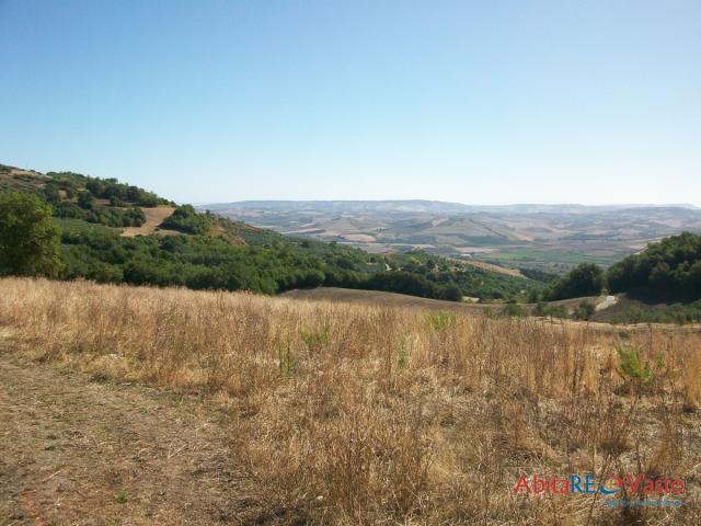 Case - Terreno agricolo, comoda posizione