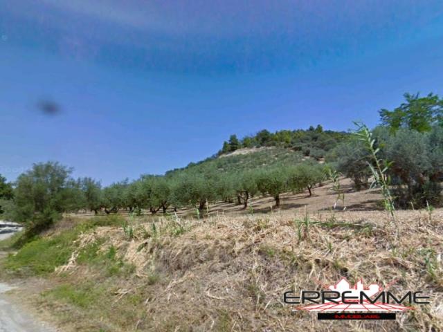 Case - Lotto di terreno agricolo coltivato ad uliveto a rosciano in c.da valle galelle