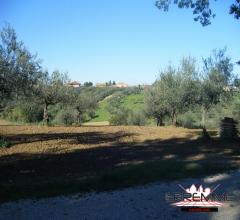 Case - Lotto di terreno agricolo coltivato ad uliveto a rosciano in c.da valle galelle