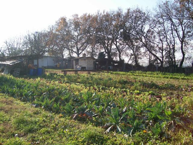 Terreno di natura agricola a cepagatti in c.da s.agata