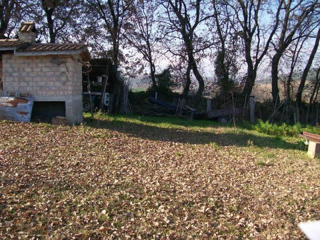 Case - Terreno di natura agricola a cepagatti in c.da s.agata