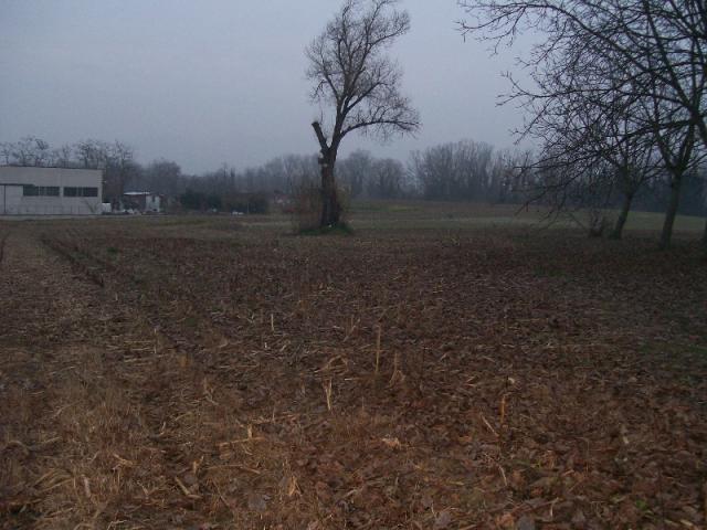 Case - Terreno di natura agricola a cepagatti in c.da s.agata