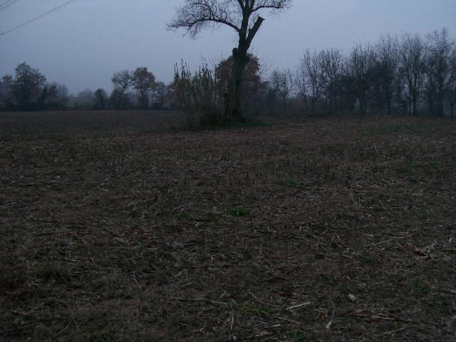 Case - Terreno di natura agricola a cepagatti in c.da s.agata