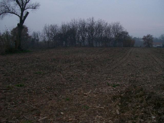 Case - Terreno di natura agricola a cepagatti in c.da s.agata