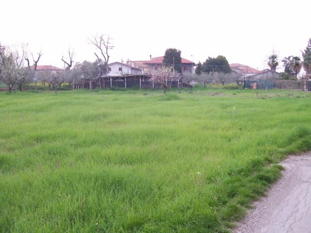 Case - Terreno panoramico in casalincontrada