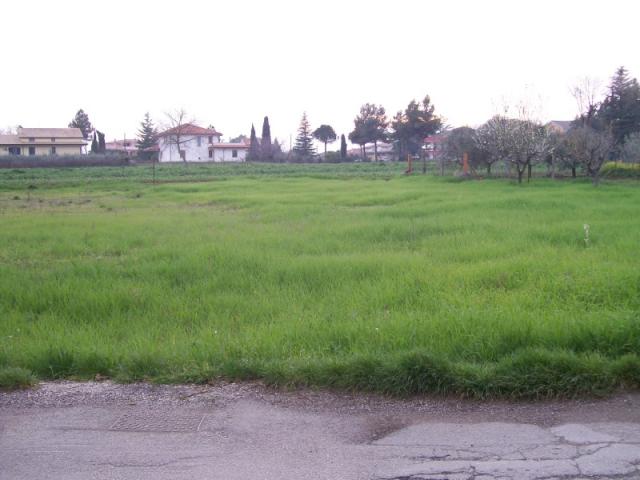 Case - Terreno panoramico in casalincontrada