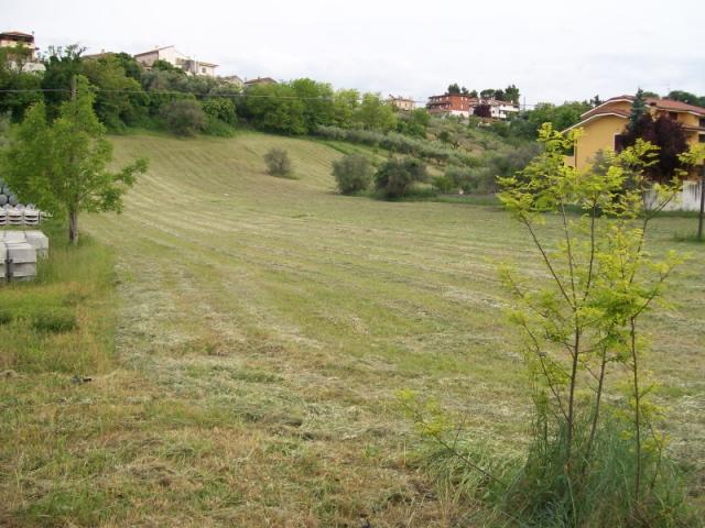 Case - Terreno edificabile e agricolo a villa badessa di rosciano