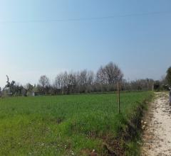 Case - Terreno edificabile in villareia di cepagatti (c.da casoni)