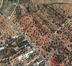 Case - Terreno-edificabile-in-vendita-a-gallipoli-sulla-strada-chiesanuova-sannicola-a-3-km-dal-mare