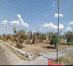 Case - Terreno-edificabile-in-vendita-a-gallipoli-sulla-strada-chiesanuova-sannicola-a-3-km-dal-mare