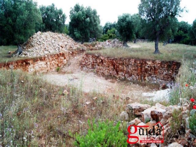 Case - Terreno-agricolo-in-vendita-a-matino-nella-prima-periferia-del-centro-abitato-e-con-possibilità-di-e