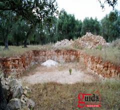 Case - Terreno-agricolo-in-vendita-a-matino-nella-prima-periferia-del-centro-abitato-e-con-possibilità-di-e