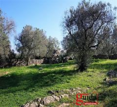 Case - Terreno-edificabile-in-vendita-a-200-mt-dal-mare-a-torre-suda-racale