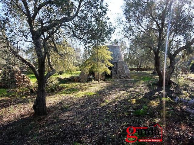 Case - Terreno-edificabile-in-vendita-a-200-mt-dal-mare-a-torre-suda-racale