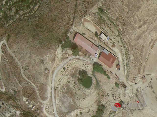 Appartamenti in Vendita - Vendesi azienda agricola nella valle di pentedattilo- melito di porto salvo