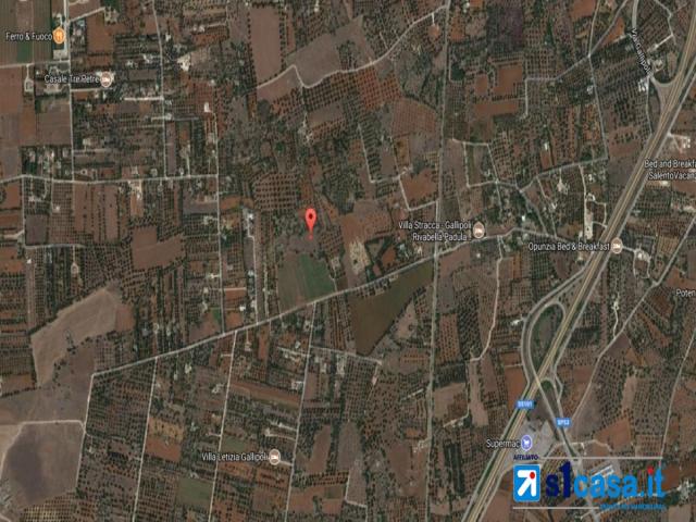 Case - Terreno agricolo uliveto in c.da liddi.