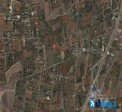 Case - Terreno agricolo uliveto in c.da liddi.