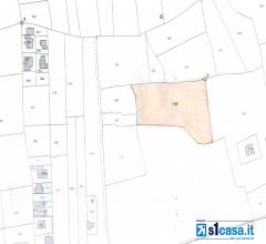 Case - Terreno agricolo uliveto in c.da liddi.