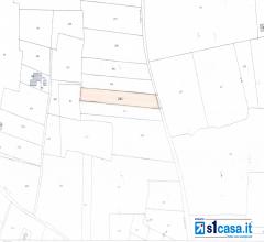 Case - Galatone, terreno agricolo c.da spigolizzi