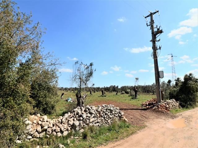 Terreno edificabile di fronte al parco astronomico san lorenzo