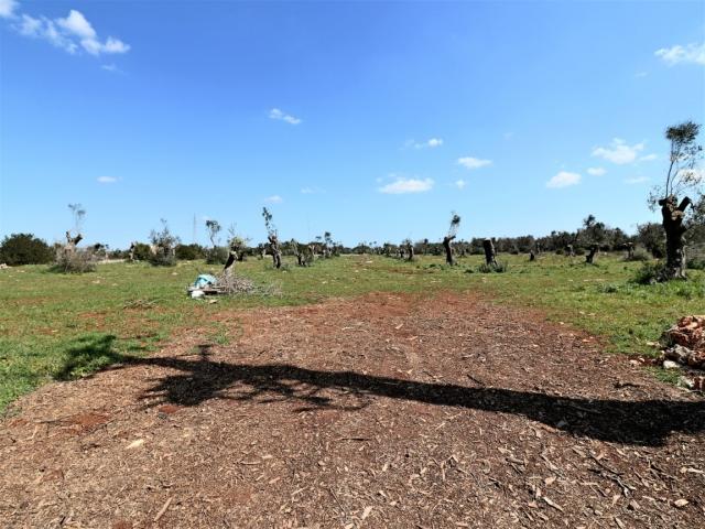 Case - Terreno edificabile di fronte al parco astronomico san lorenzo