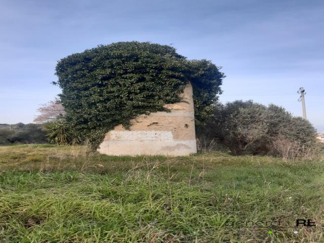 Appartamenti in Vendita - Vendesi a spoltore casale con terreno agricolo