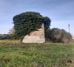 Case - Vendesi a spoltore casale con terreno agricolo