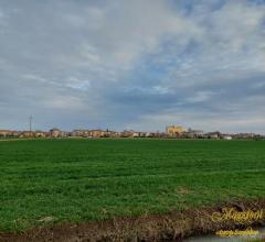 Case - Terreno agricolo in prossimita' del paese