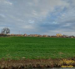 Appartamenti in Vendita - Terreno agricolo in prossimita' del paese