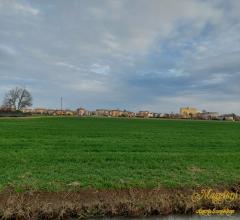 Case - Terreno agricolo in prossimita' del paese