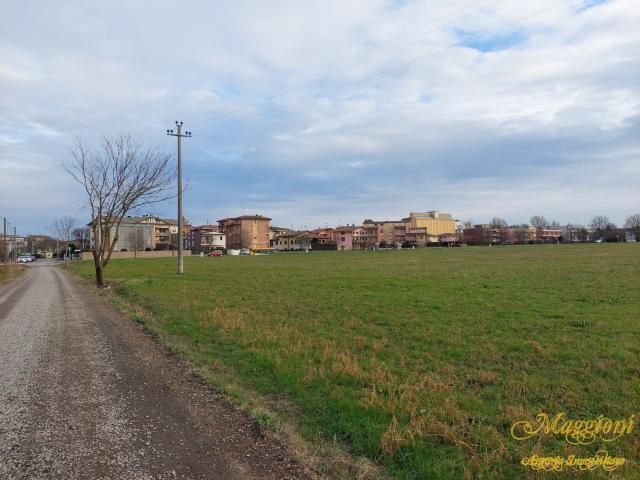 Appartamenti in Vendita - Terreno agricolo in prossimita' del paese