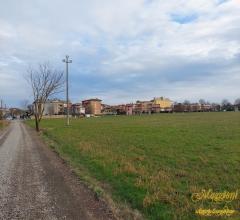 Appartamenti in Vendita - Terreno agricolo in prossimita' del paese