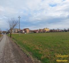 Case - Terreno agricolo in prossimita' del paese