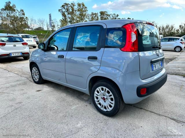 Auto - Fiat panda 1.2 easy