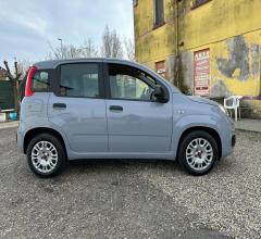 Auto - Fiat panda 1.2 easy