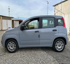 Auto - Fiat panda 1.2 easy