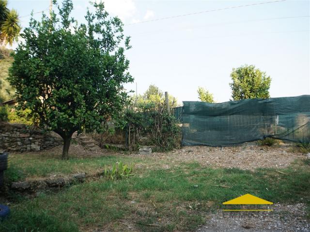 Case - Casa singola con giardino in vendita a massa