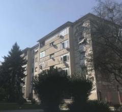 Abitazione di tipo popolare - via daniele ricciarelli n. 16