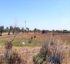 Terreno agricolo con struttura rurale