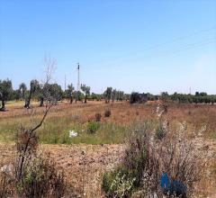 Case - Terreno agricolo con struttura rurale