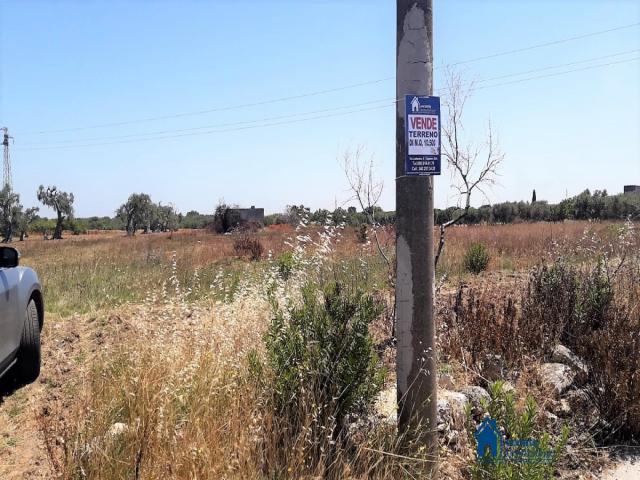 Case - Terreno agricolo con struttura rurale