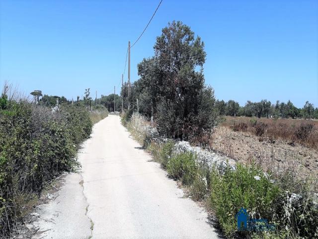 Case - Terreno agricolo con struttura rurale