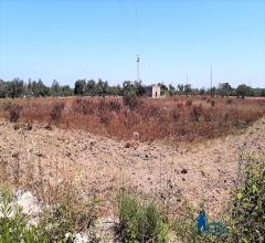 Case - Terreno agricolo con struttura rurale