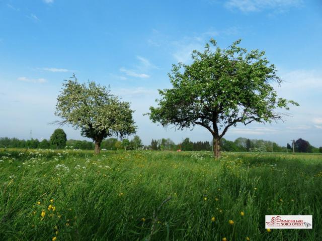 Terreno agricolo a corbetta