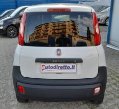 Auto - Fiat panda 1.3 mjt 80 cv s&s easy