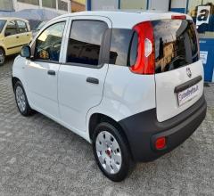Auto - Fiat panda 1.3 mjt 80 cv s&s easy