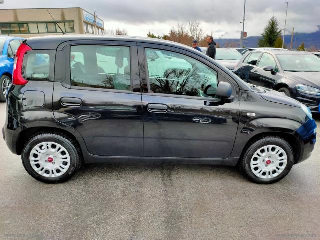 Auto - Fiat panda 1.2 easy