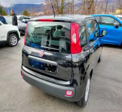 Auto - Fiat panda 1.2 easy