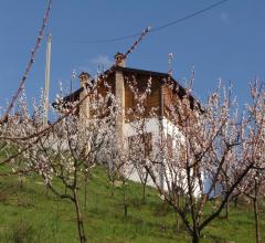 Case - Casa in legno (cottage)  indipendente vic.ze vernasca  (pc)